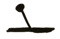toggle
